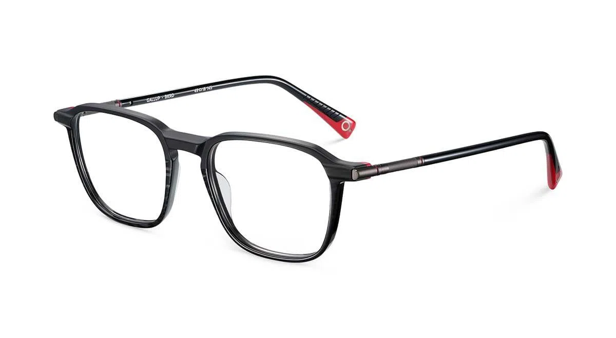 Etnia Barcelona GALLUP Eyeglasses - view 7